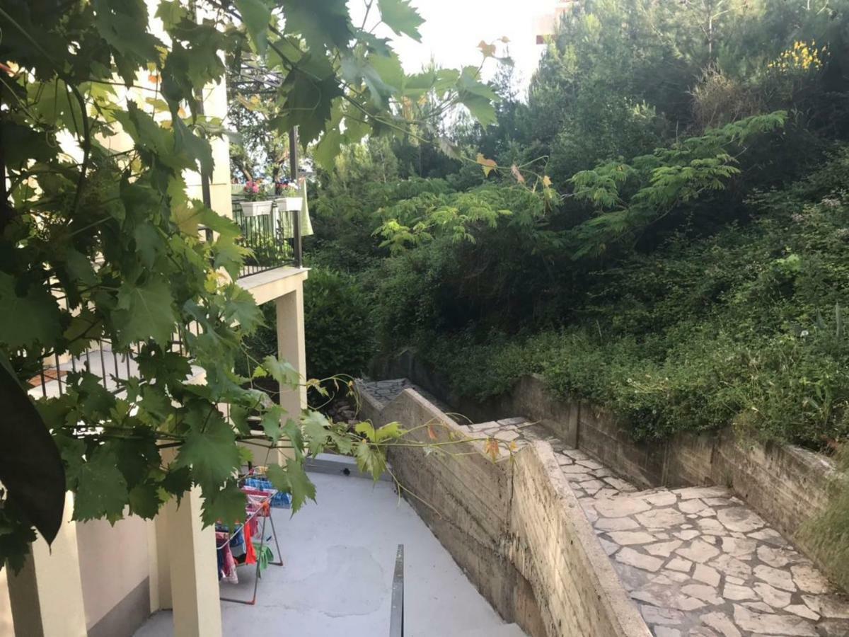 Apartments Petkovic Petrovac Exterior foto